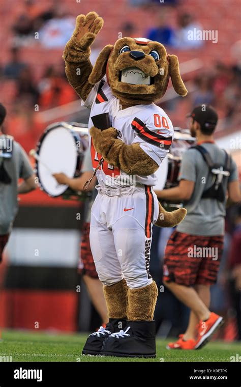 Chomps through the Years: A Visual History of the Cleveland Browns Mascot